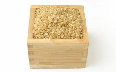 玄米生活の効用 -健全な身体を維持する-